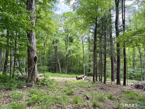 00 Great Hollow Road Cornwall CT 06753