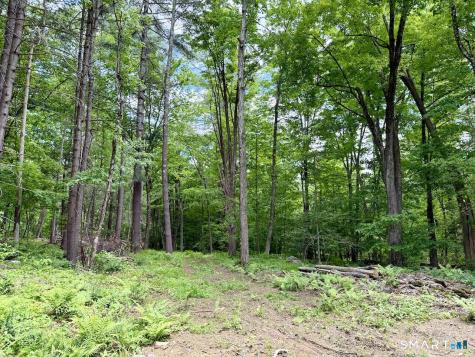 00 Great Hollow Road Cornwall CT 06753