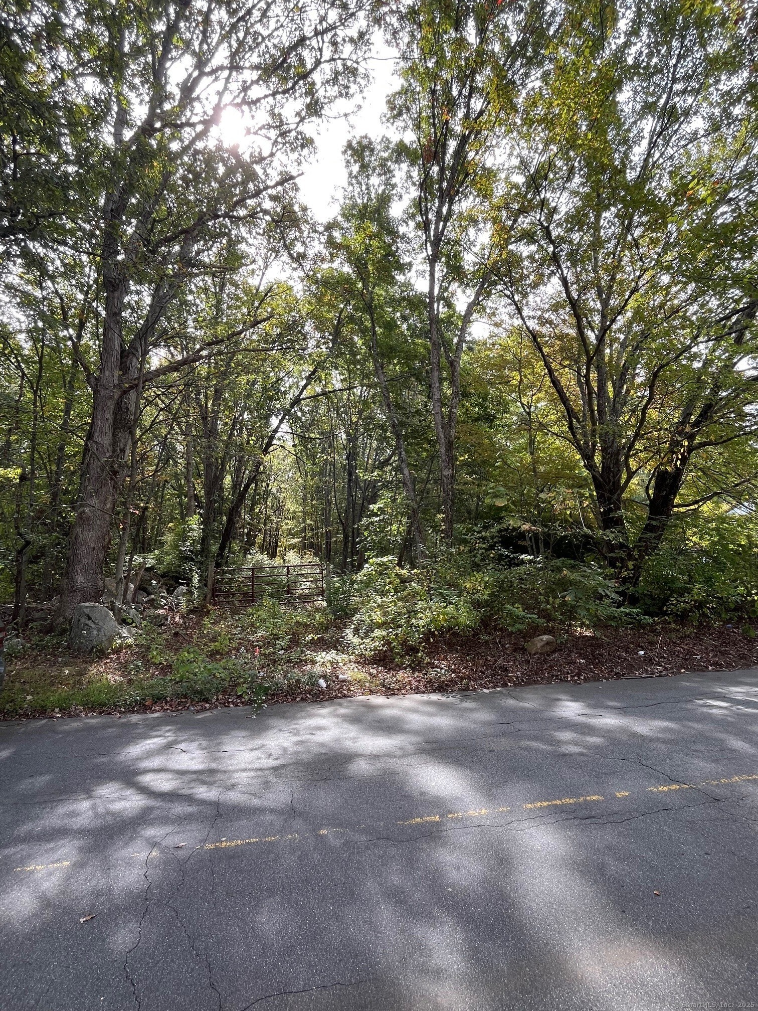 Coe Road Wolcott CT 06716