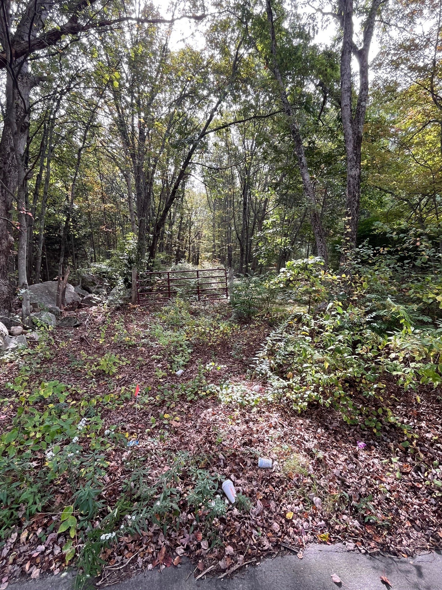 Coe Road Wolcott CT 06716