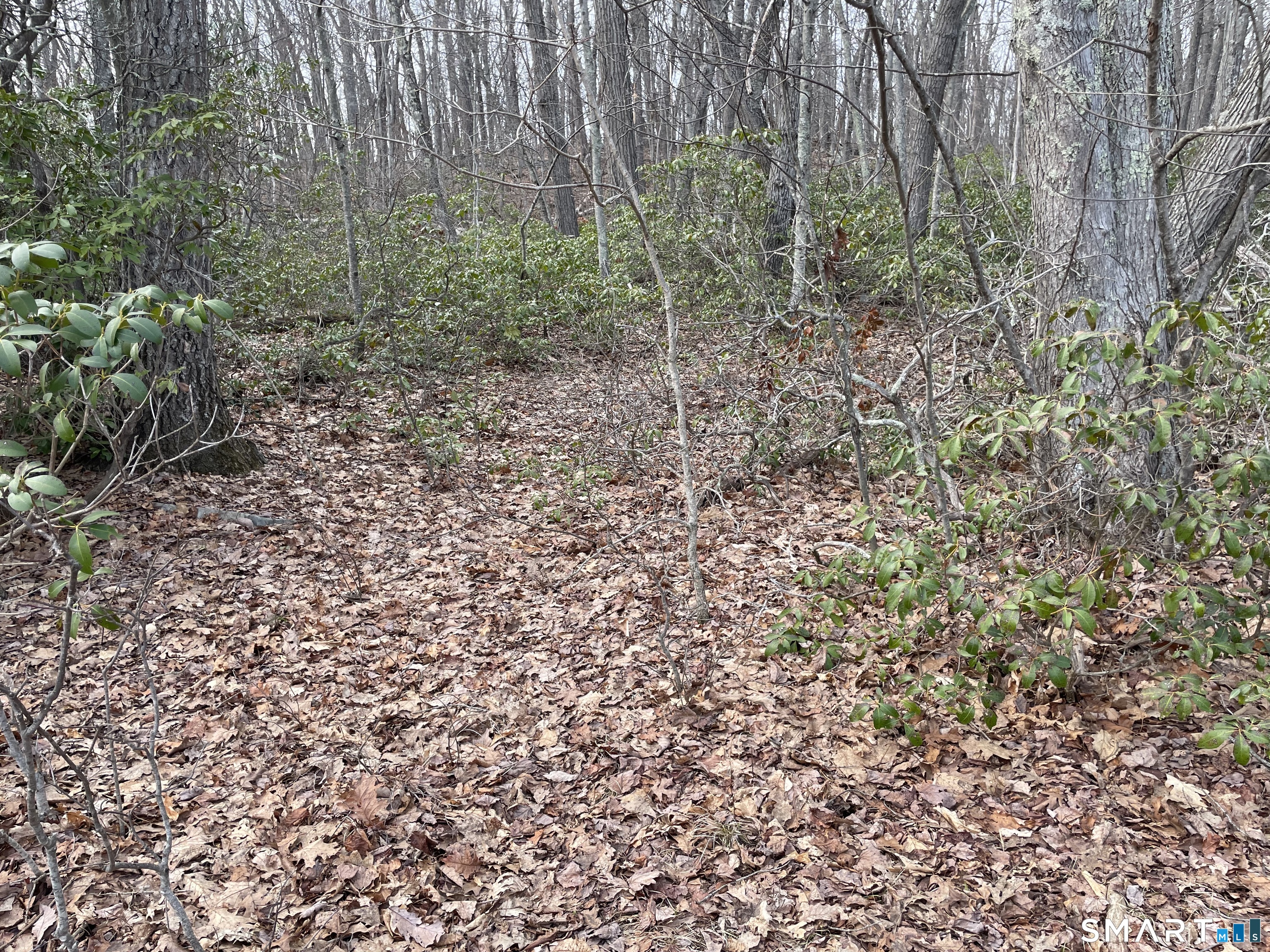 197 Tinker Hill Road Washington CT 06777