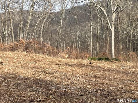 197 Tinker Hill Road Washington CT 06777