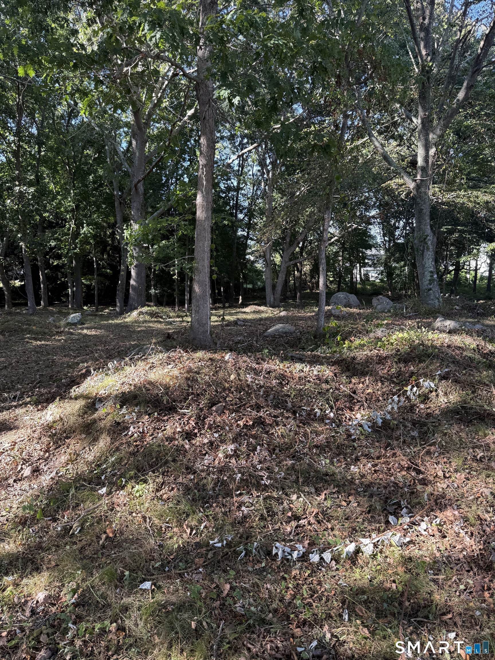 12 Kingfisher Way Stonington CT 06355