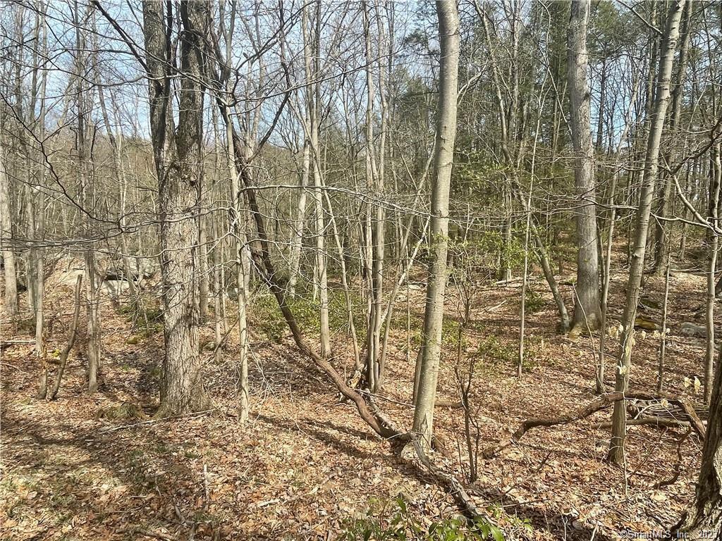 00 Old Mill Road Wilton CT 06897