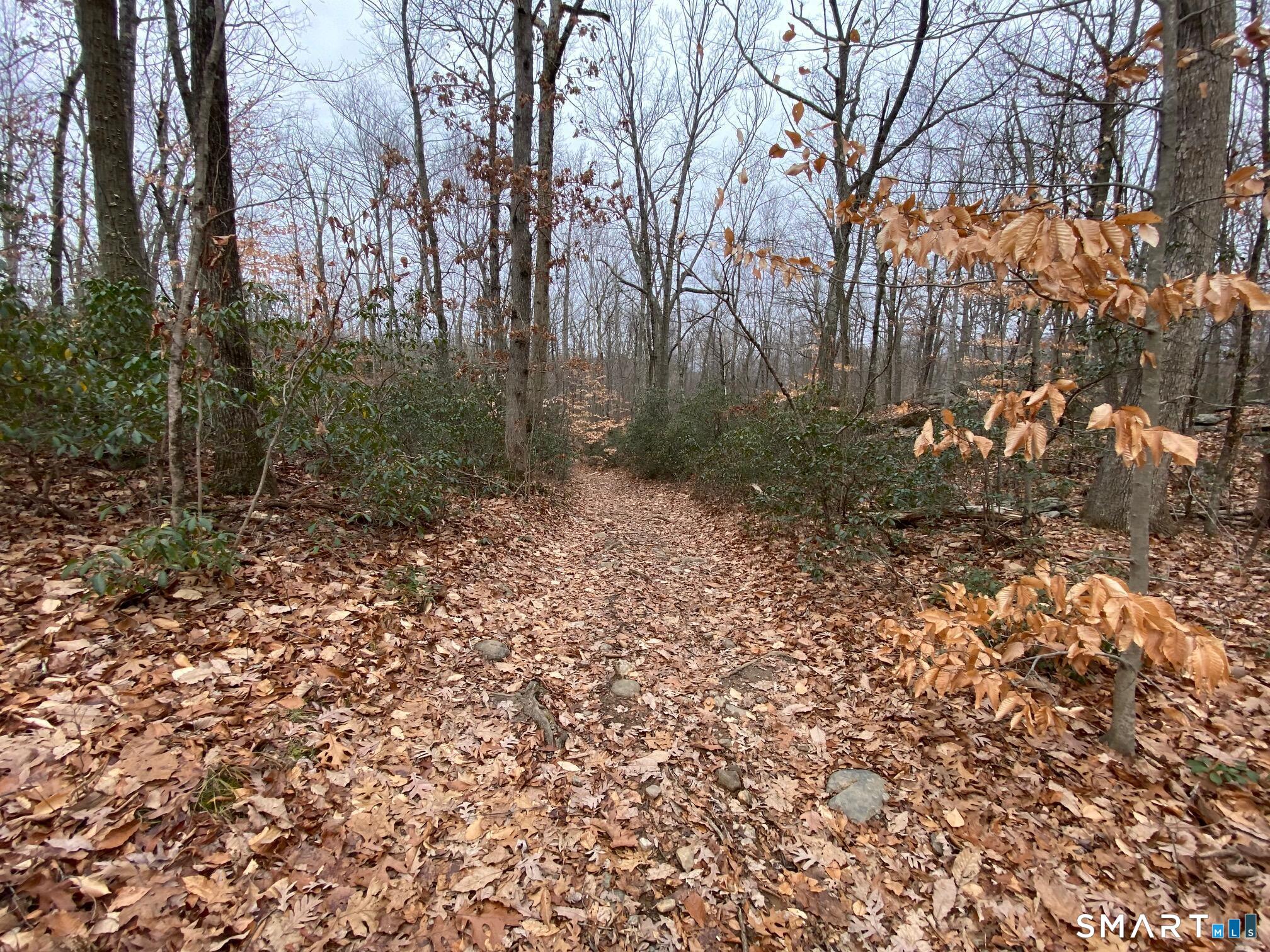 Bow Lane Middletown CT 06457