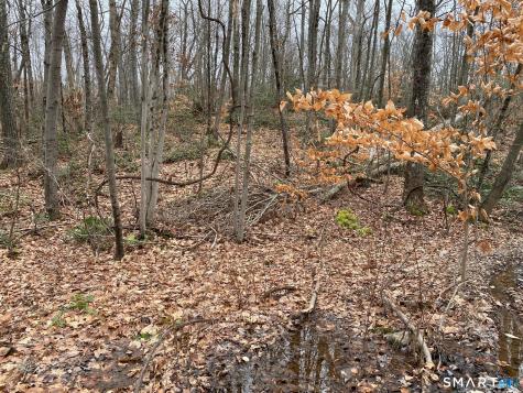 Bow Lane Middletown CT 06457