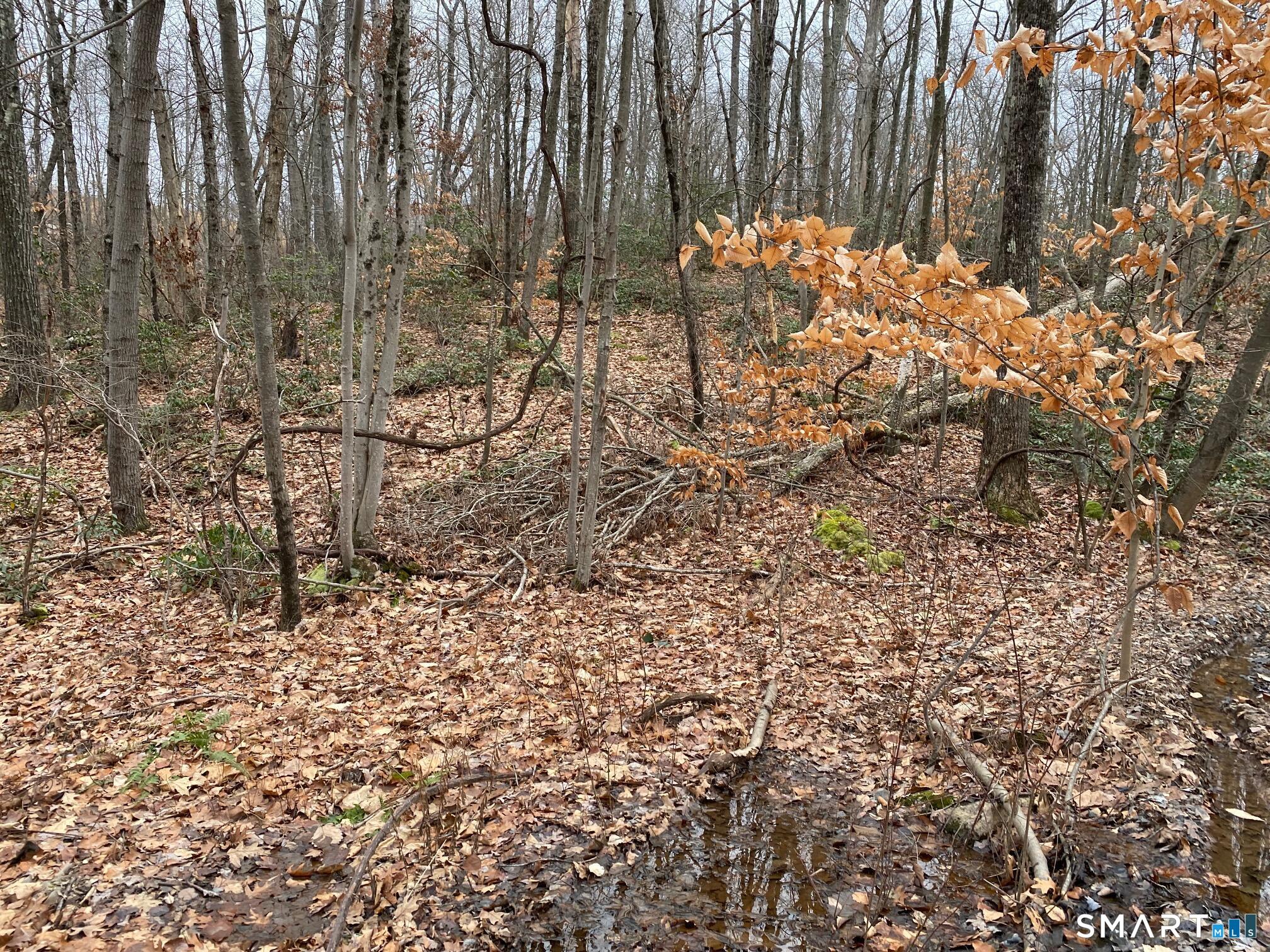 Bow Lane Middletown CT 06457