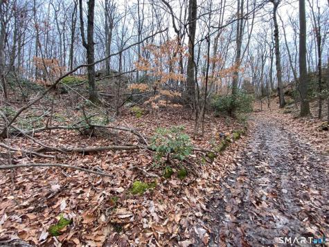 Bow Lane Middletown CT 06457