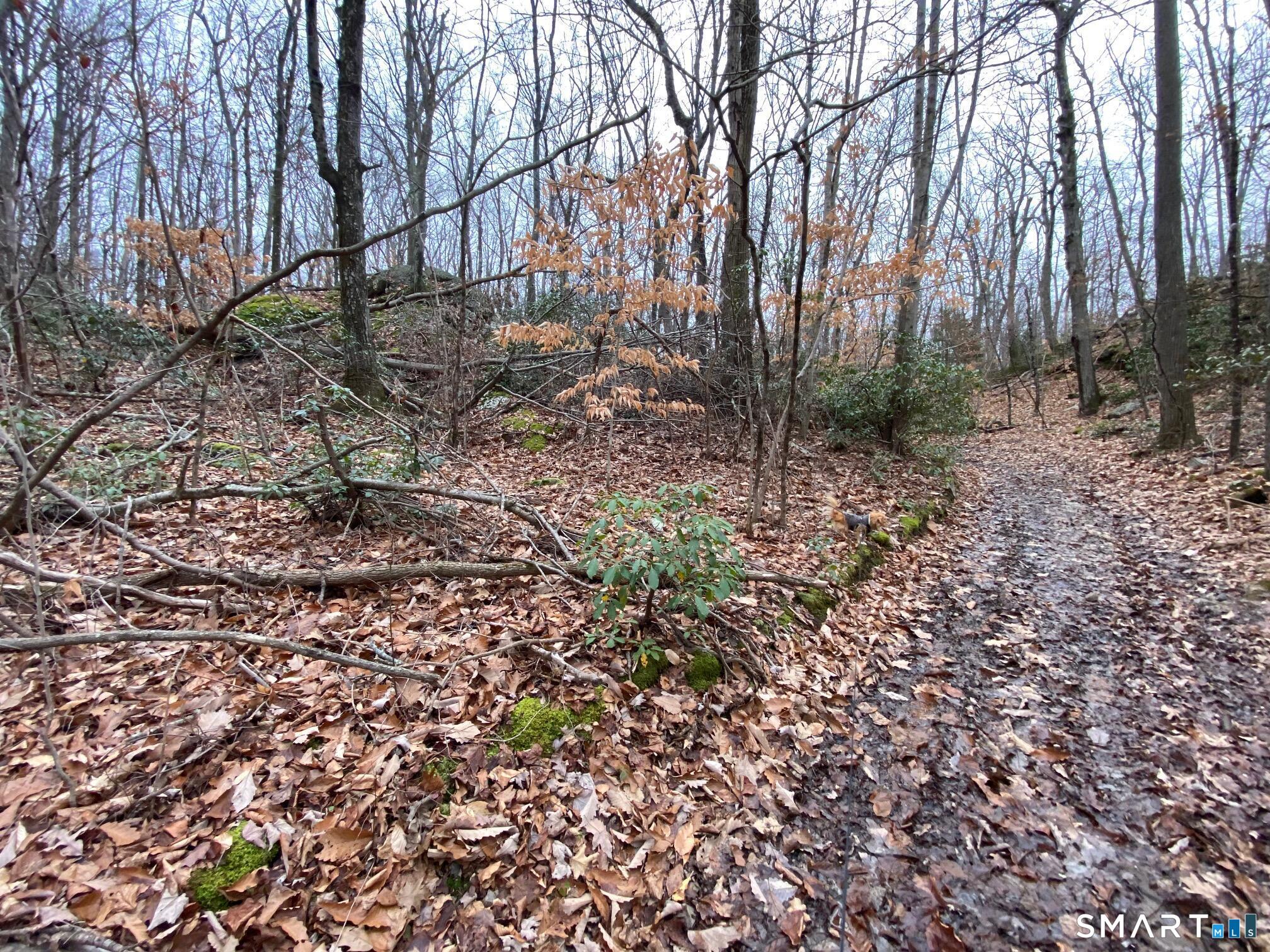 Bow Lane Middletown CT 06457
