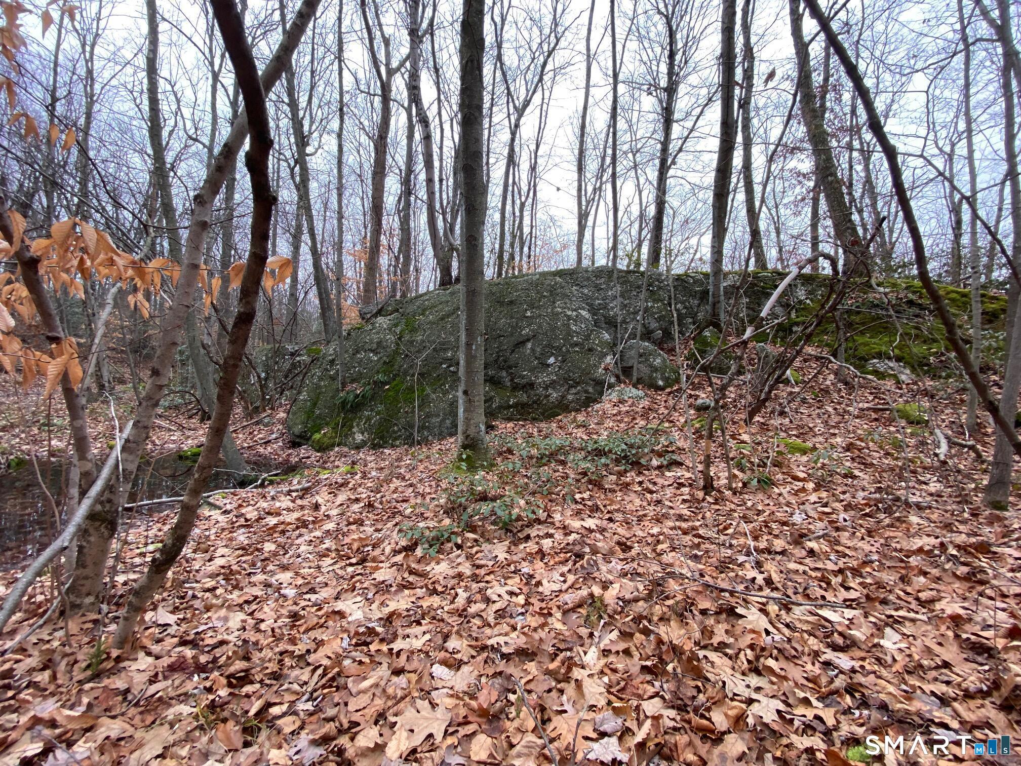 Bow Lane Middletown CT 06457