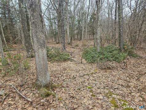 Windy Ridge Road Warren CT 06754
