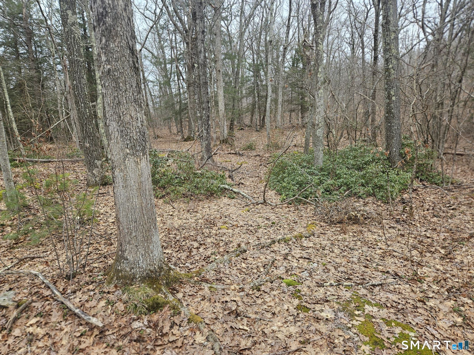 Windy Ridge Road Warren CT 06754