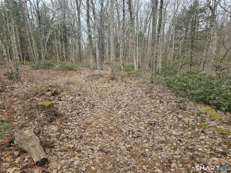Windy Ridge Road Warren CT 06754