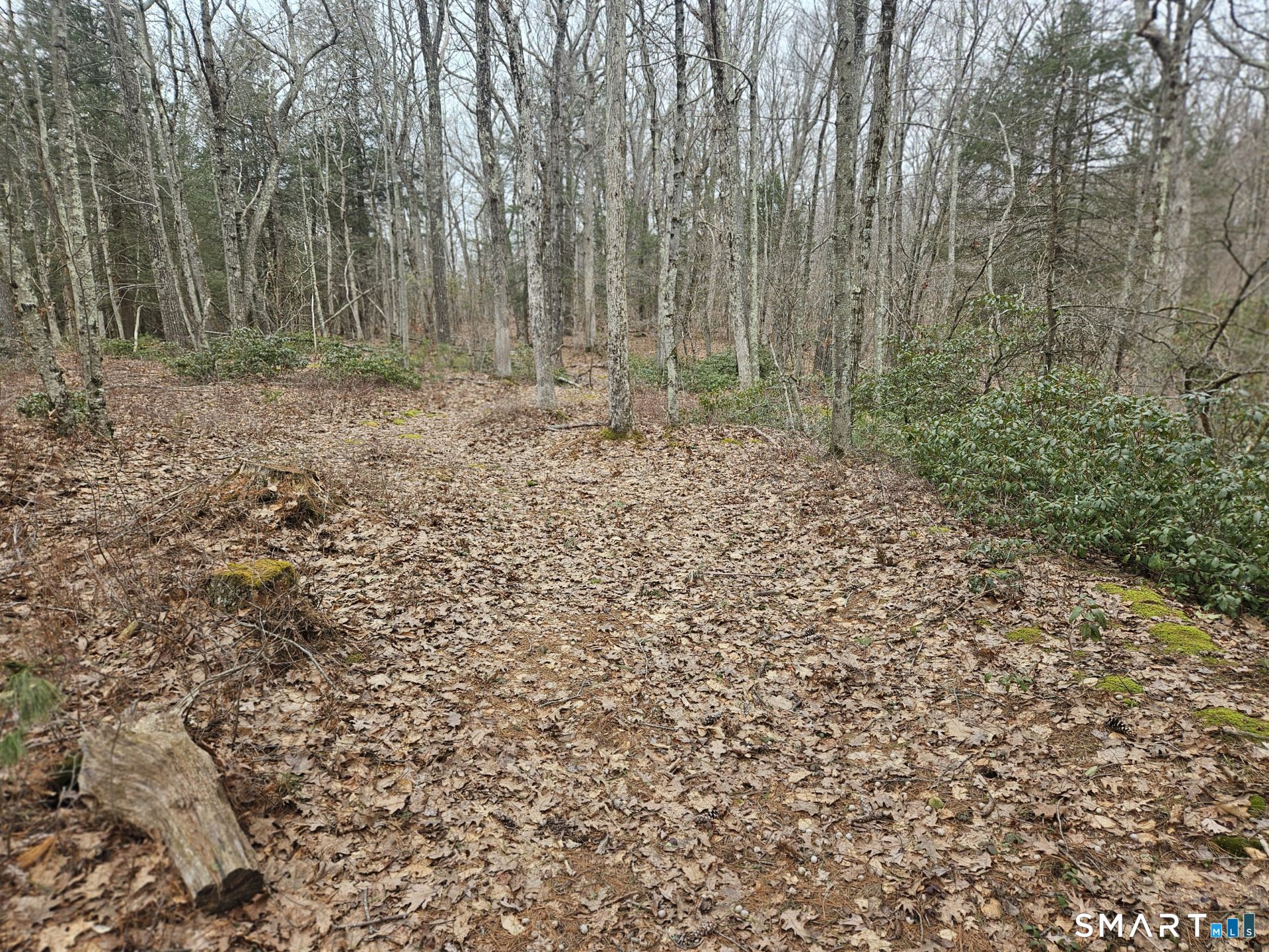 Windy Ridge Road Warren CT 06754