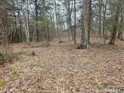 Windy Ridge Road Warren CT 06754