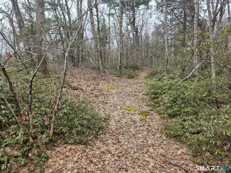 Windy Ridge Road Warren CT 06754