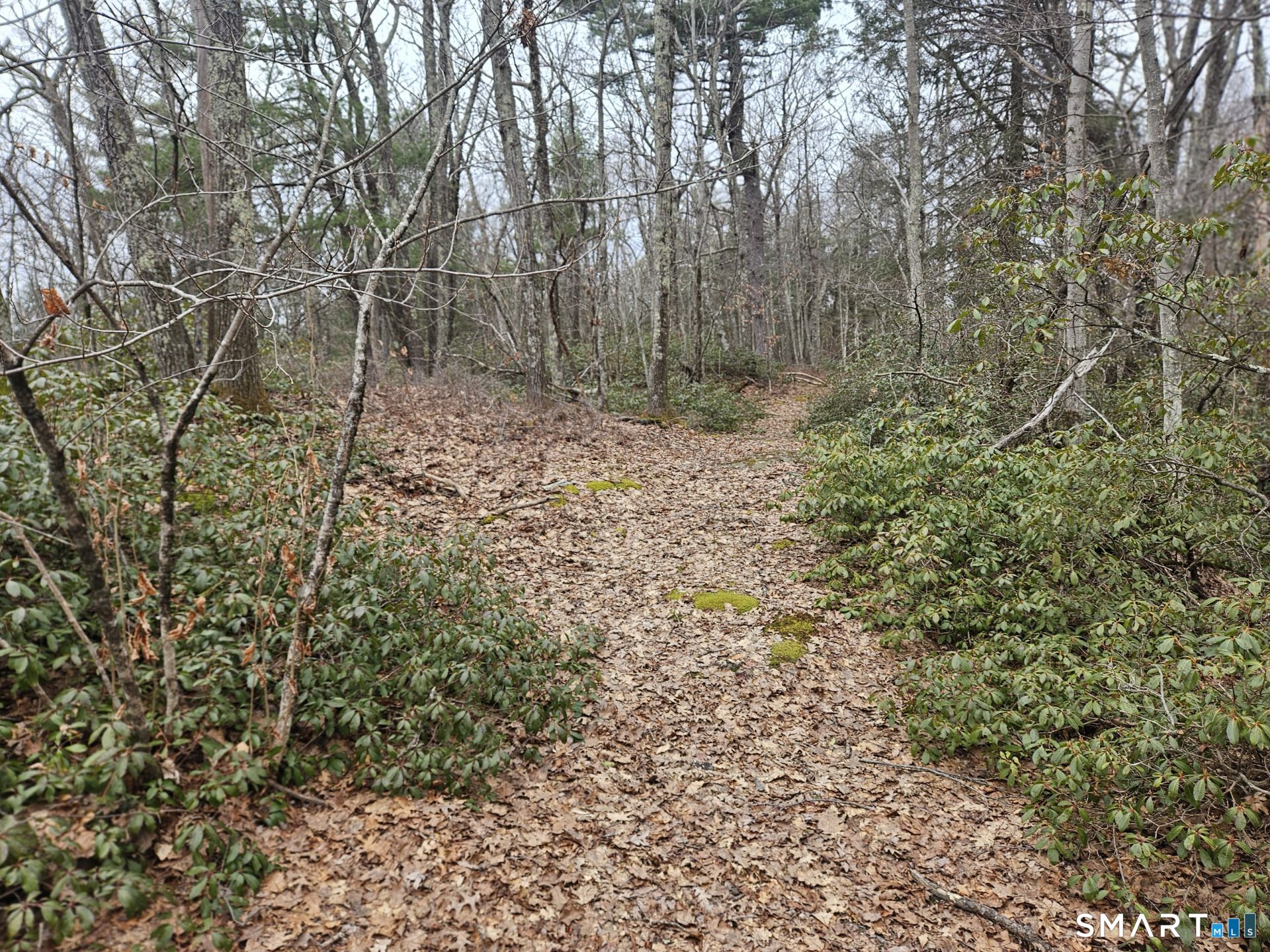 Windy Ridge Road Warren CT 06754