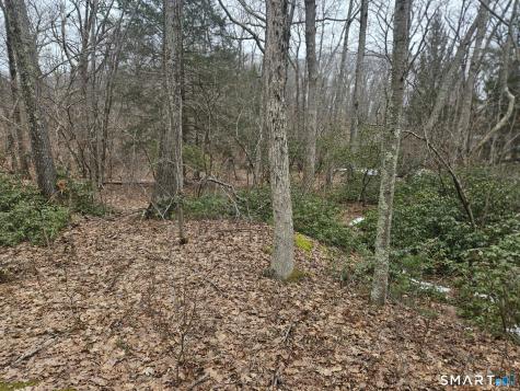 Windy Ridge Road Warren CT 06754