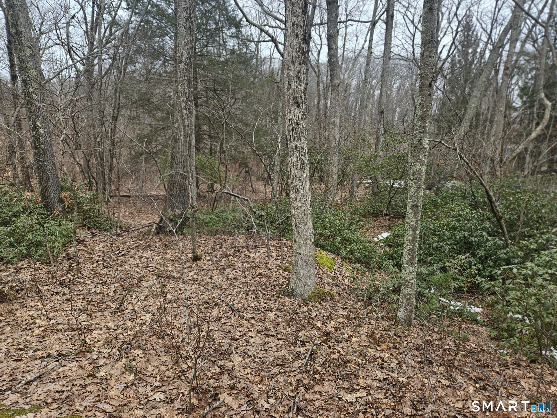 Windy Ridge Road Warren CT 06754