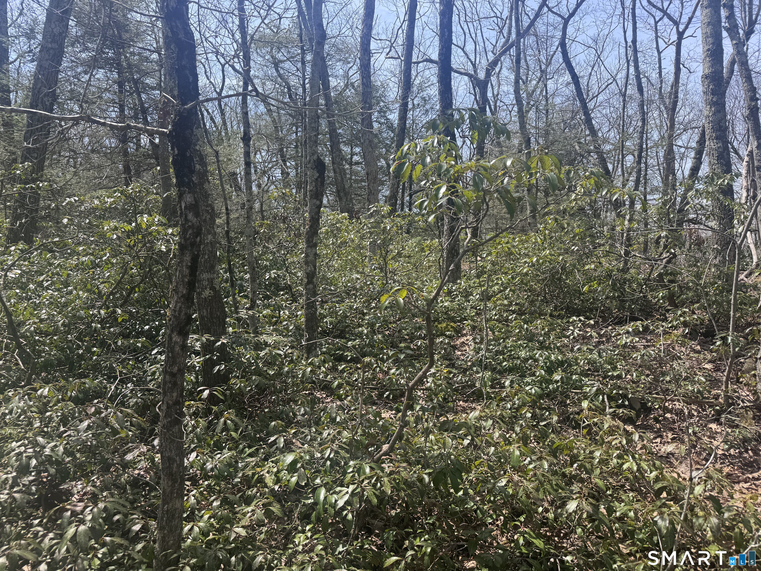 Windy Ridge Road Warren CT 06754