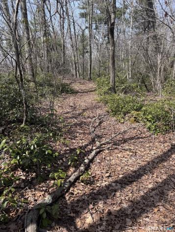 Windy Ridge Road Warren CT 06754