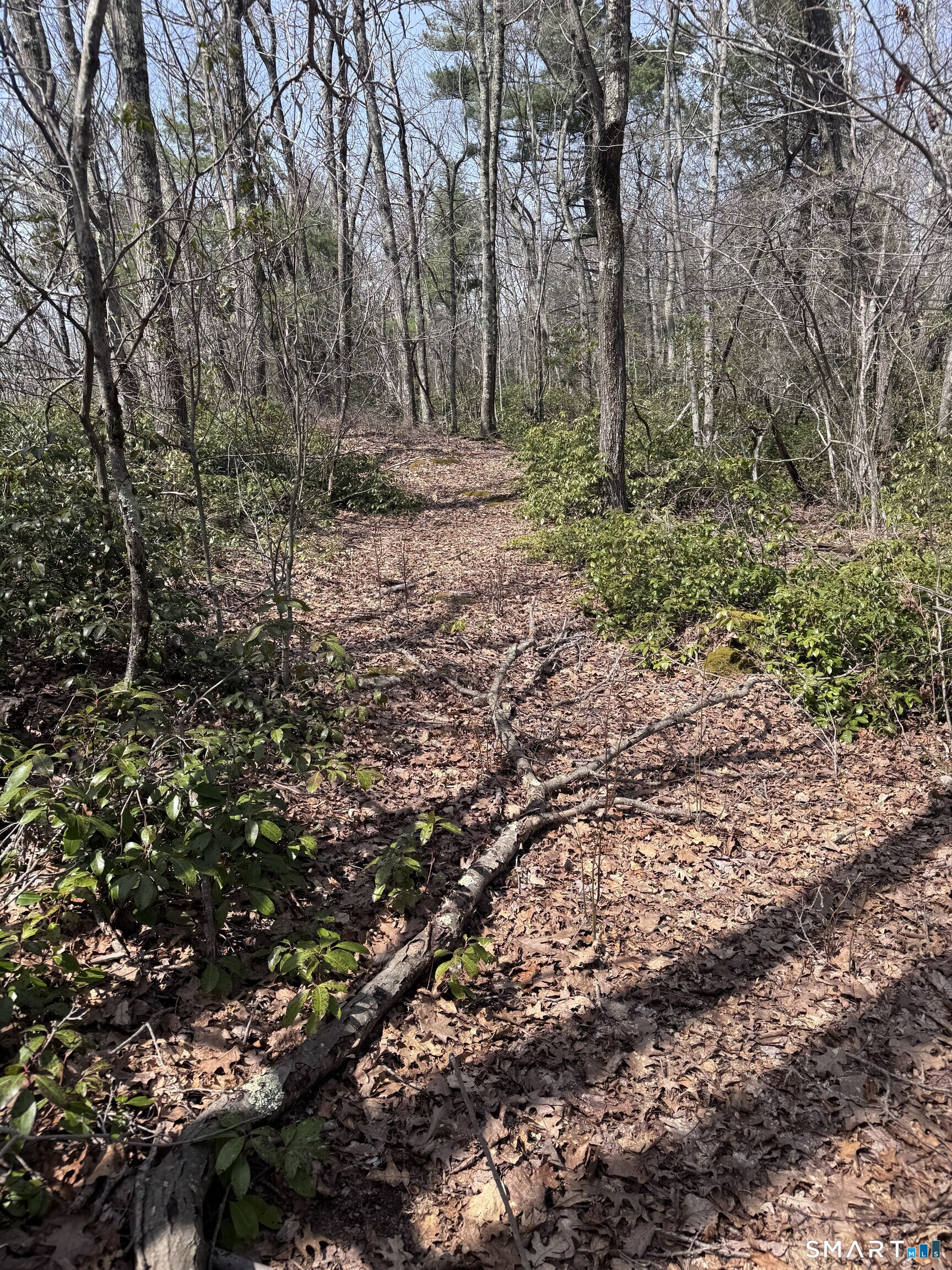 Windy Ridge Road Warren CT 06754