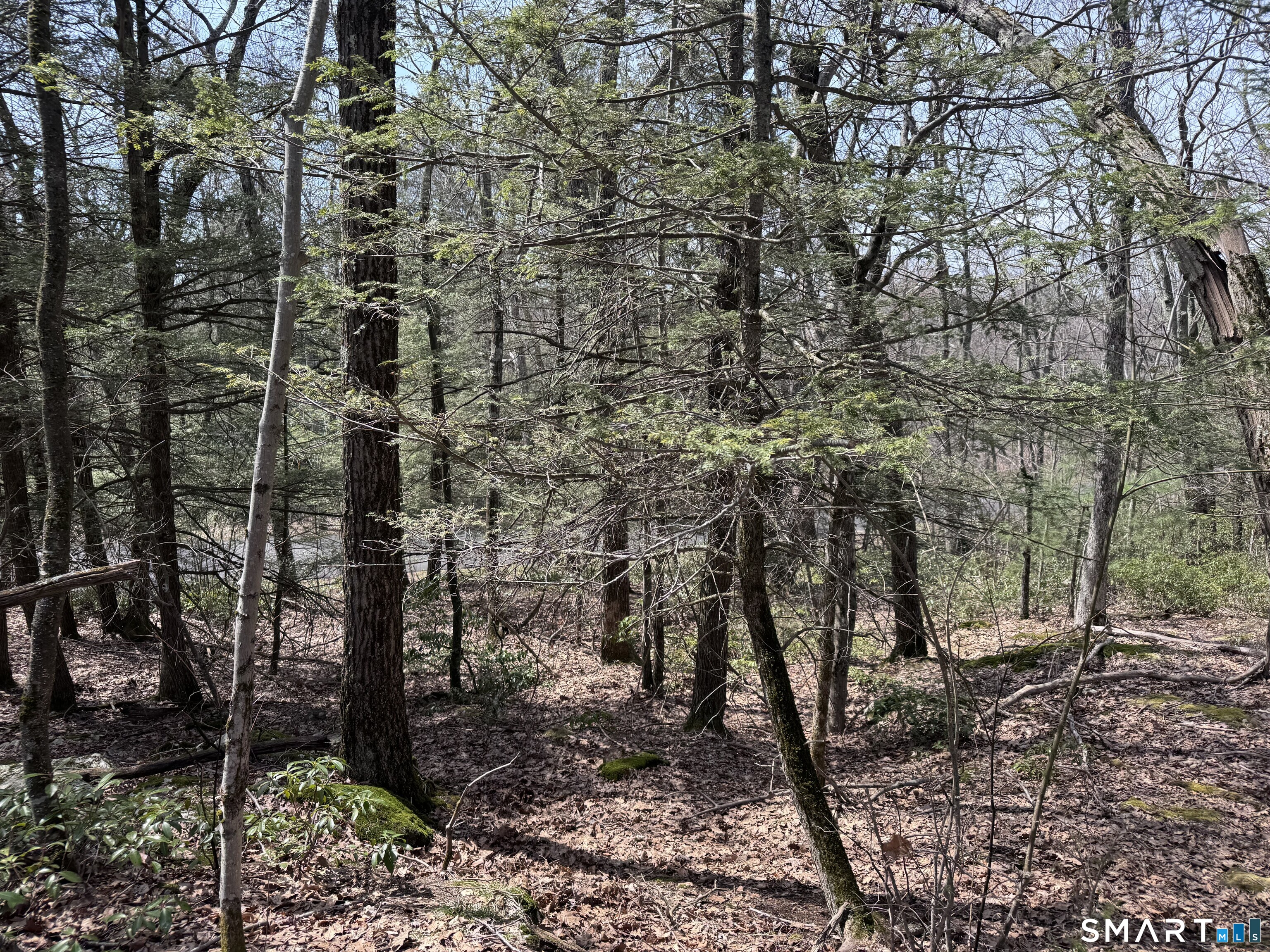 Windy Ridge Road Warren CT 06754