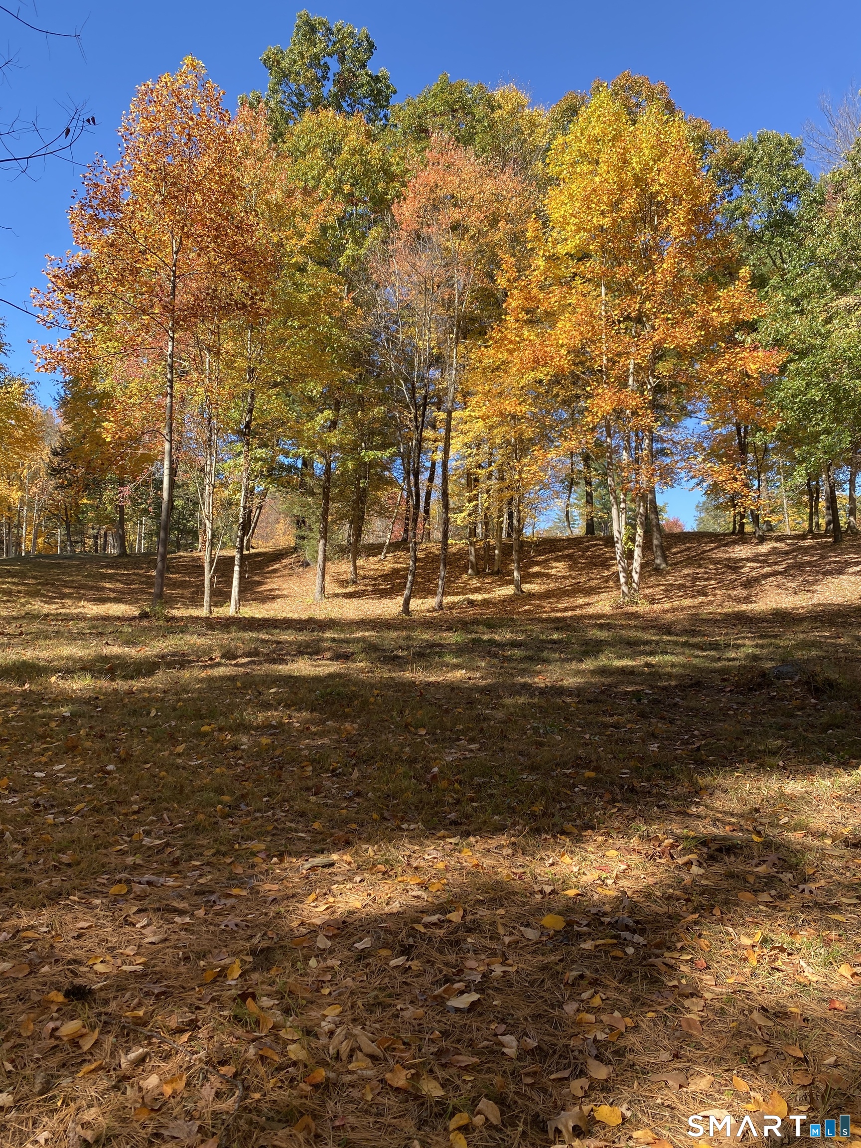 61 Barn Door Hills Road Granby CT 06035