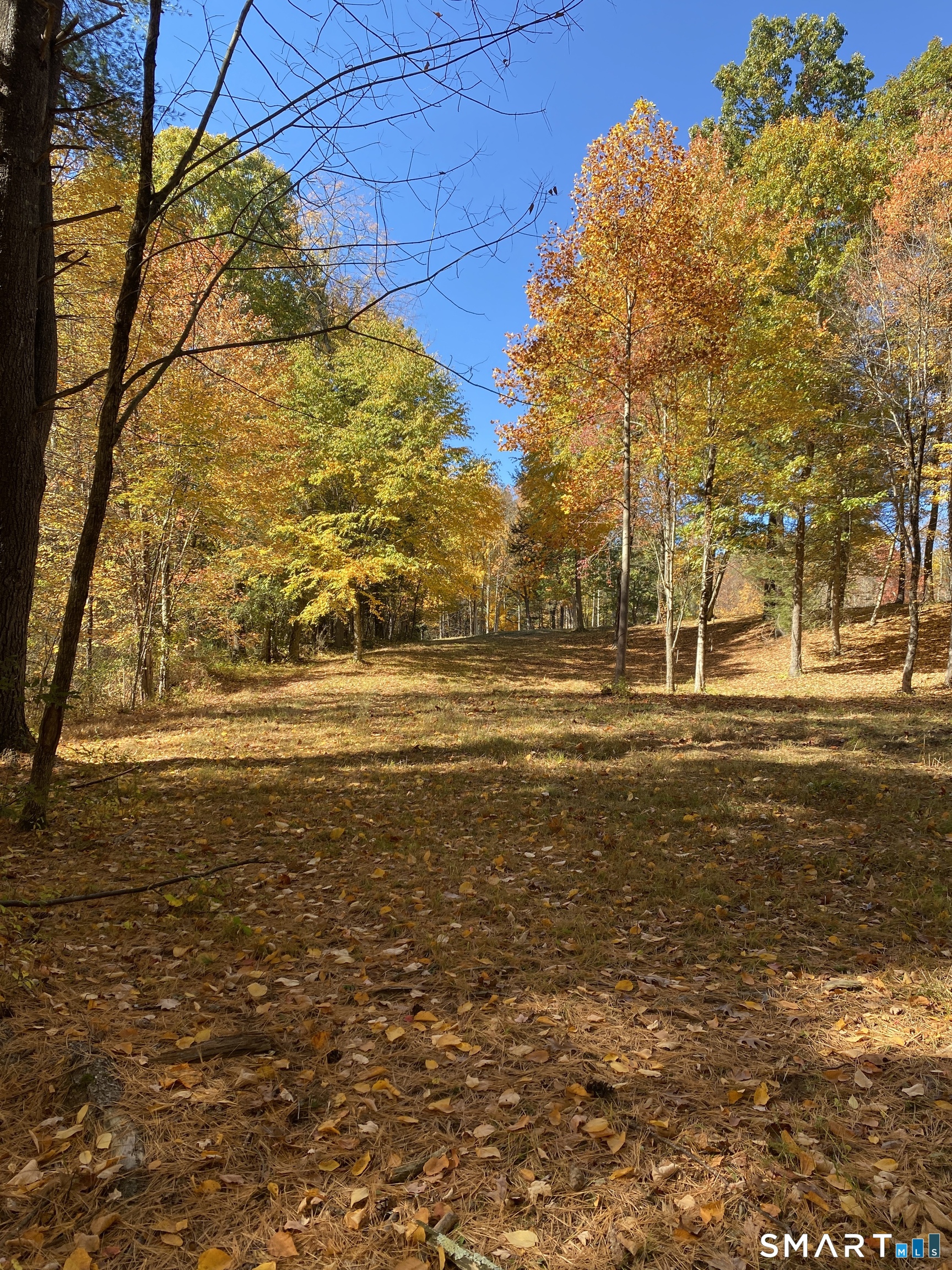 61 Barn Door Hills Road Granby CT 06035
