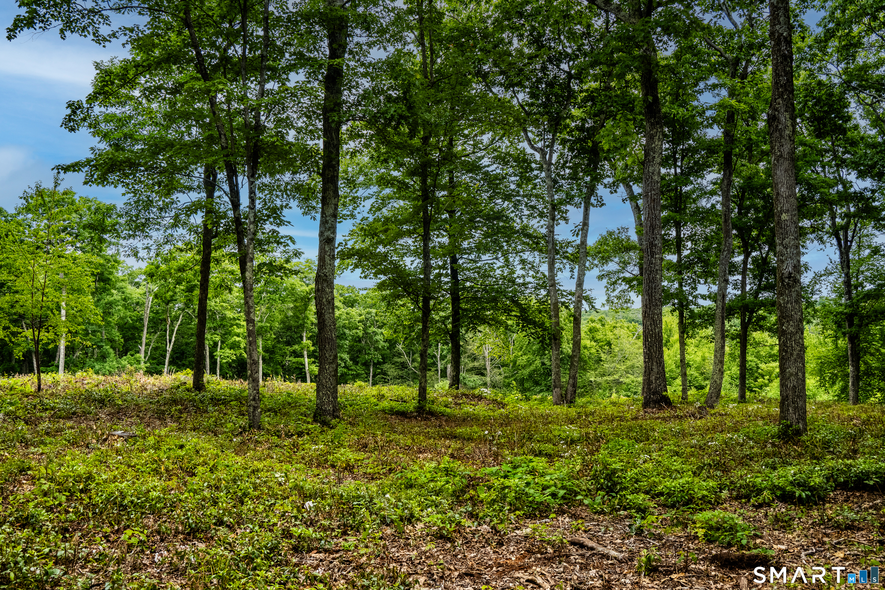 Westwoods Road Sharon CT 06069