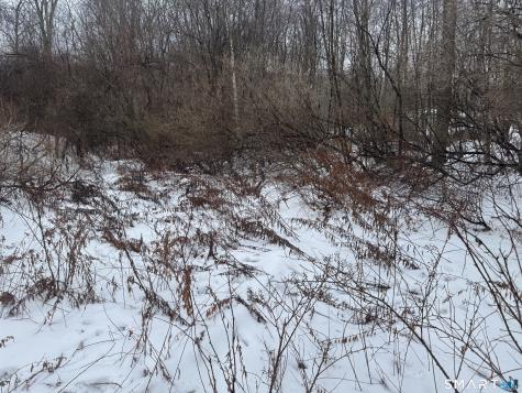 262 Stoddard Road Morris CT 06763