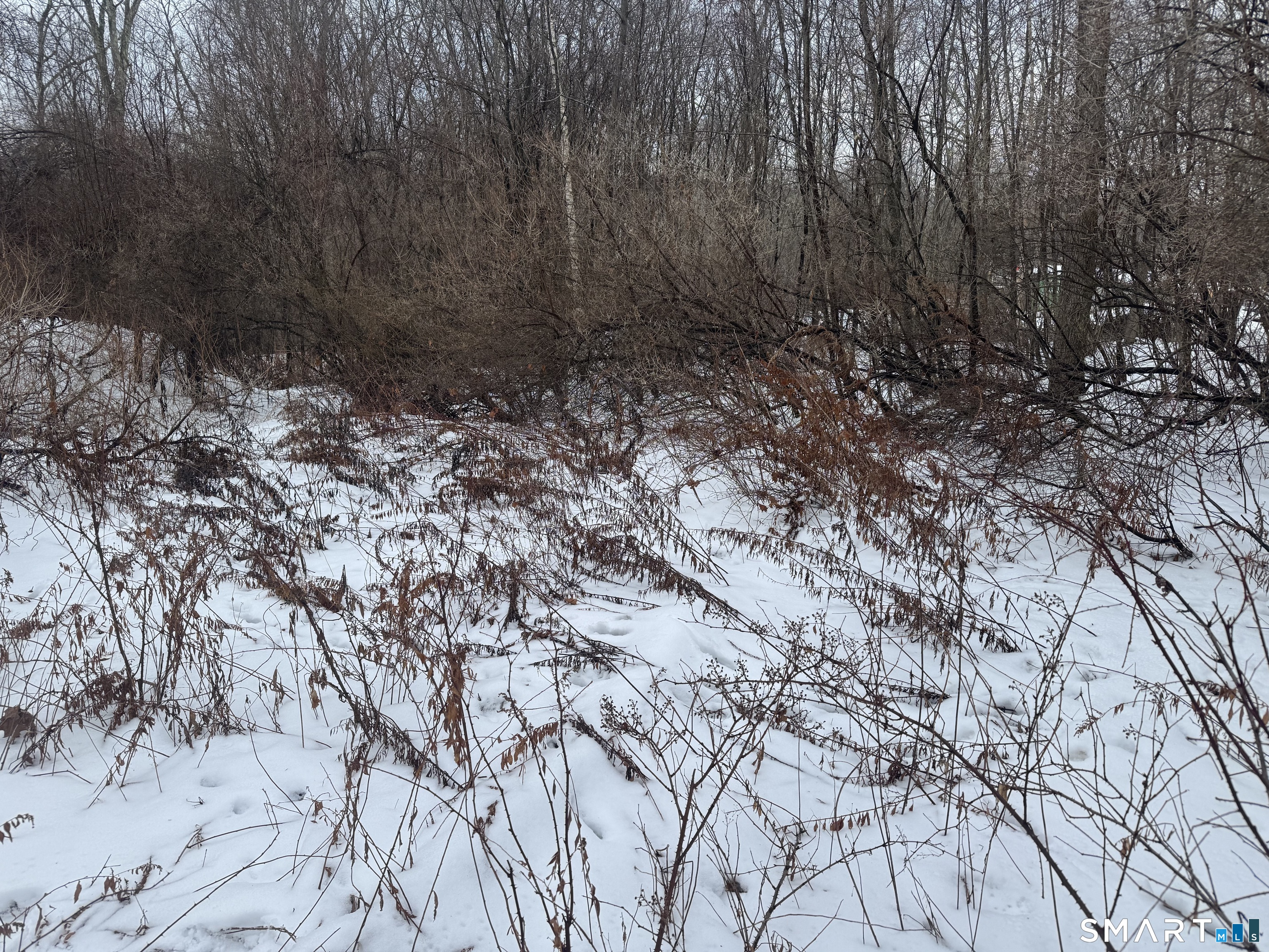 262 Stoddard Road Morris CT 06763