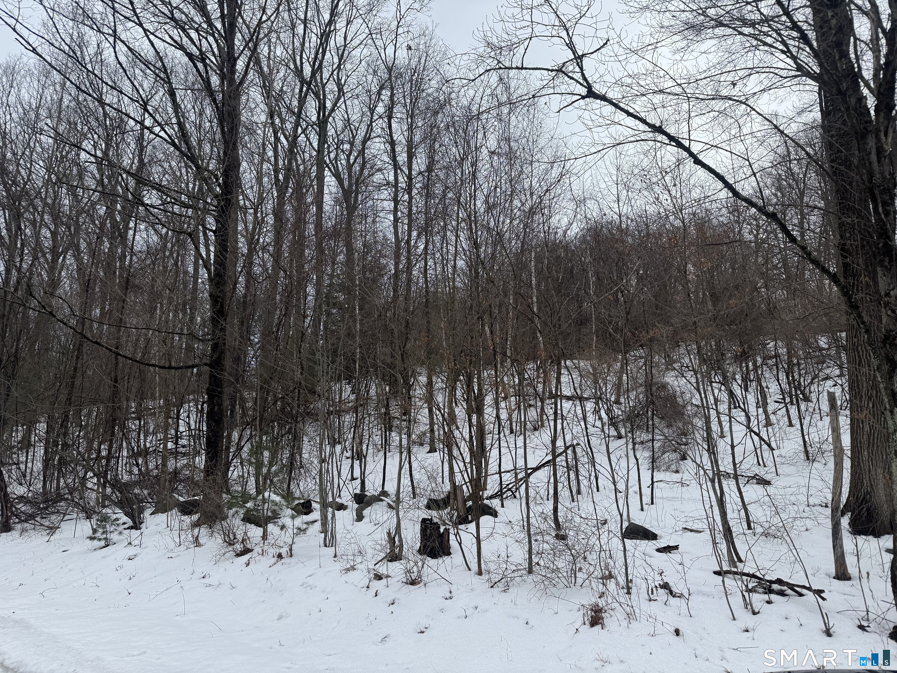 262 Stoddard Road Morris CT 06763