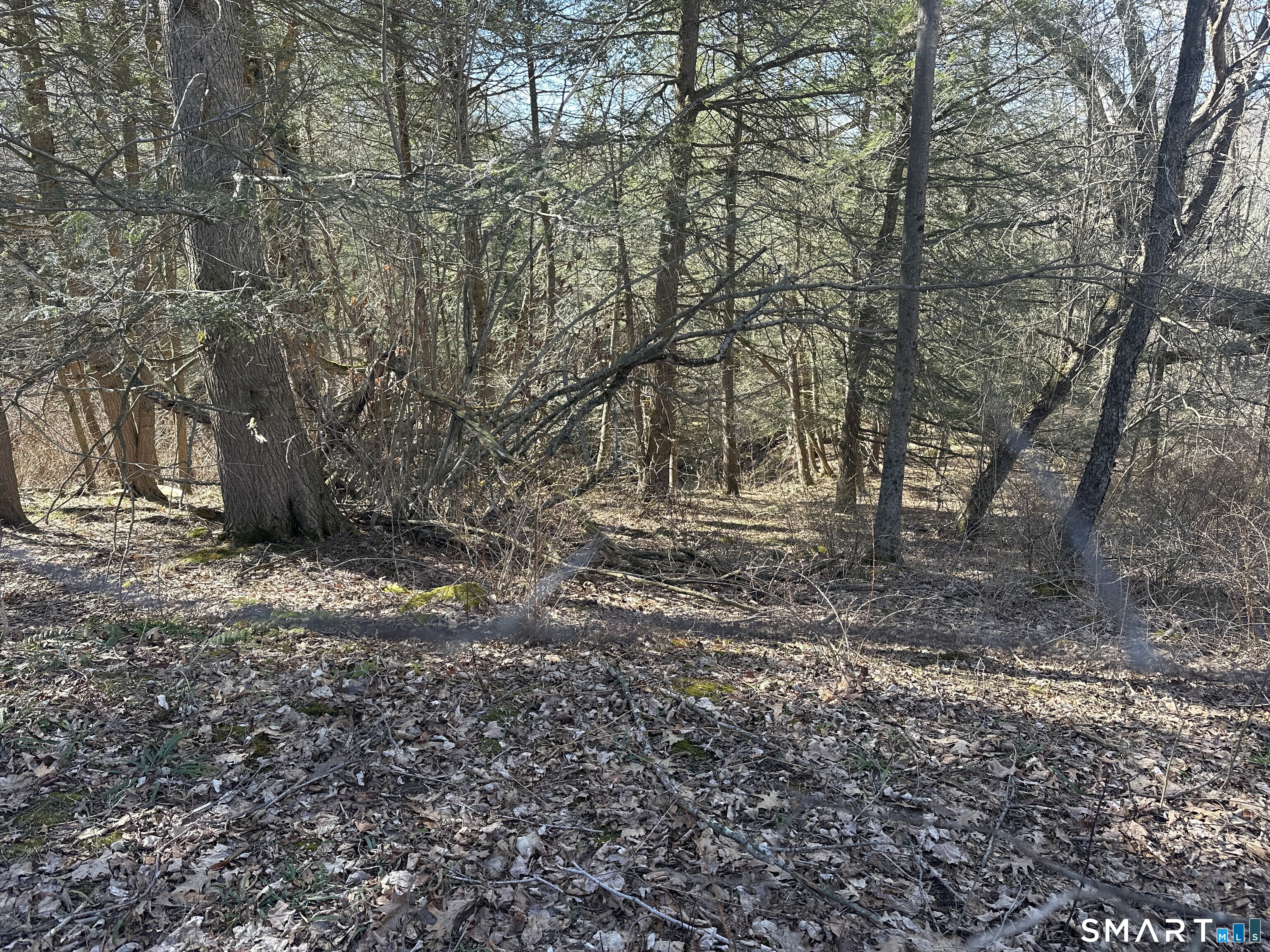 Newcomb Road Litchfield CT 06759