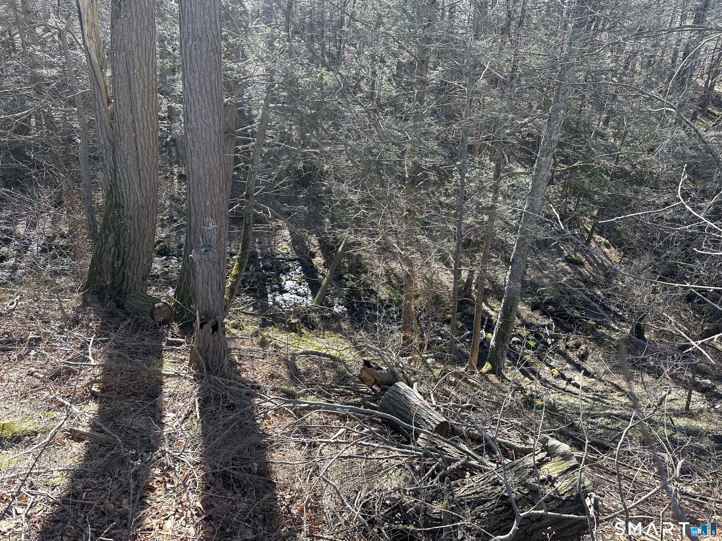 Newcomb Road Litchfield CT 06759