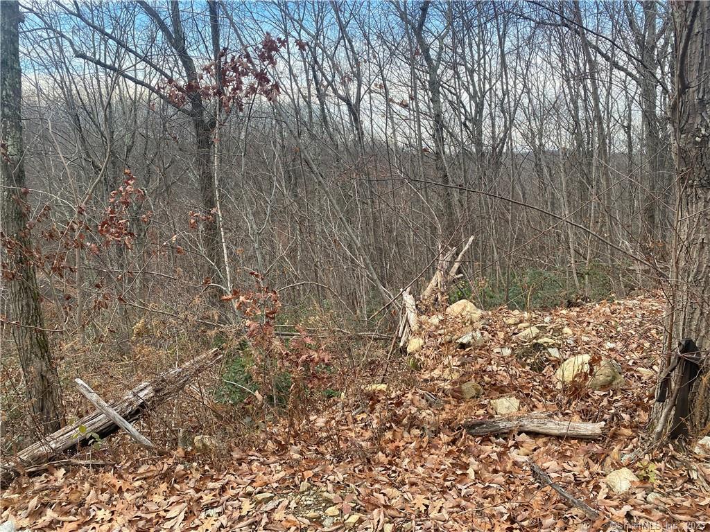 52 Chestnut Hill Road Wolcott CT 06716
