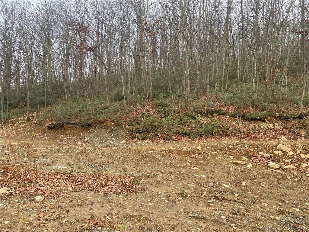 52 Chestnut Hill Road Wolcott CT 06716