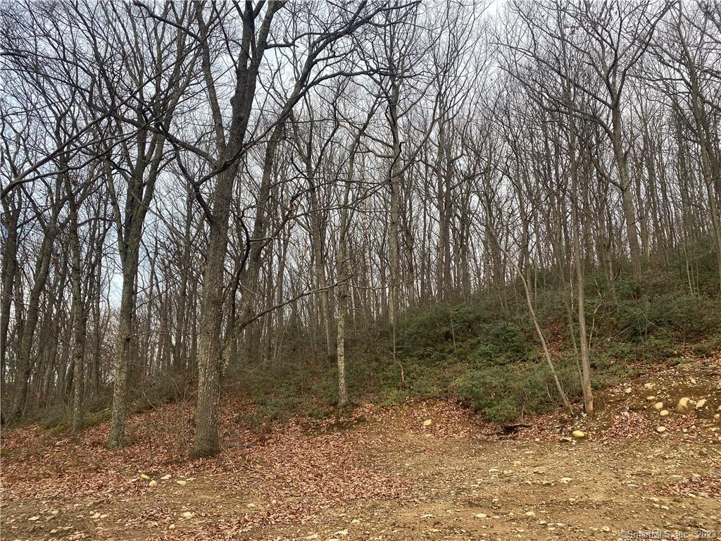 52 Chestnut Hill Road Wolcott CT 06716