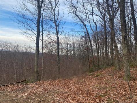 52 Chestnut Hill Road Wolcott CT 06716