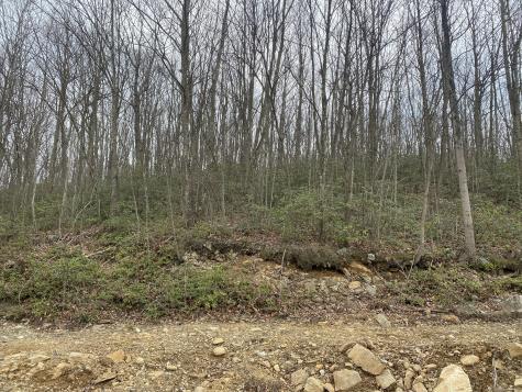 52 Chestnut Hill Road Wolcott CT 06716