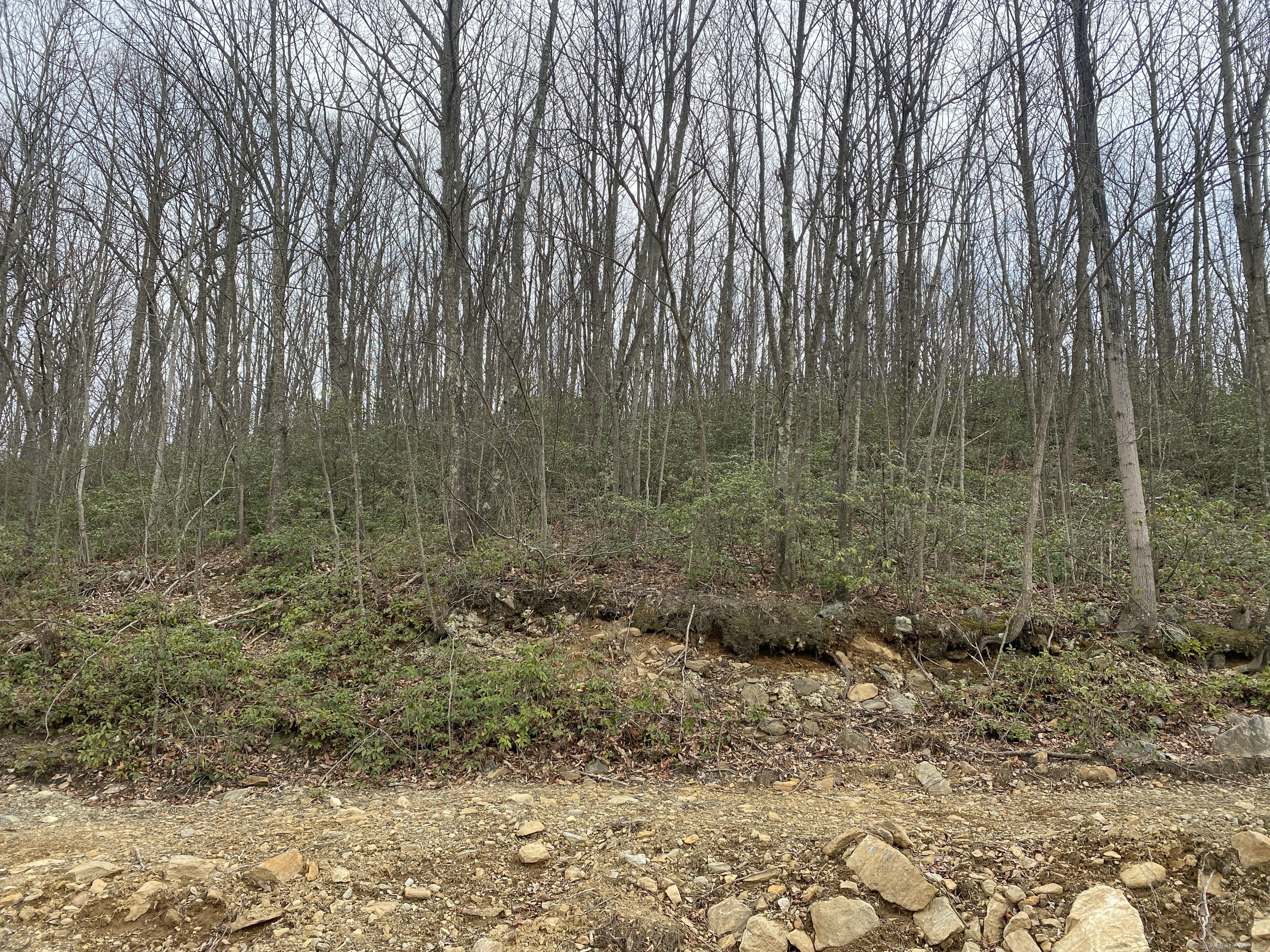 52 Chestnut Hill Road Wolcott CT 06716