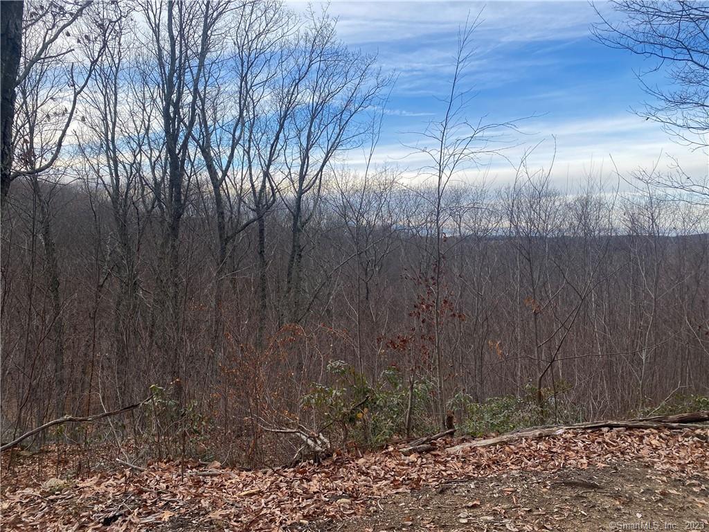 52 Chestnut Hill Road Wolcott CT 06716