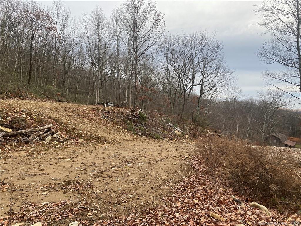 52 Chestnut Hill Road Wolcott CT 06716
