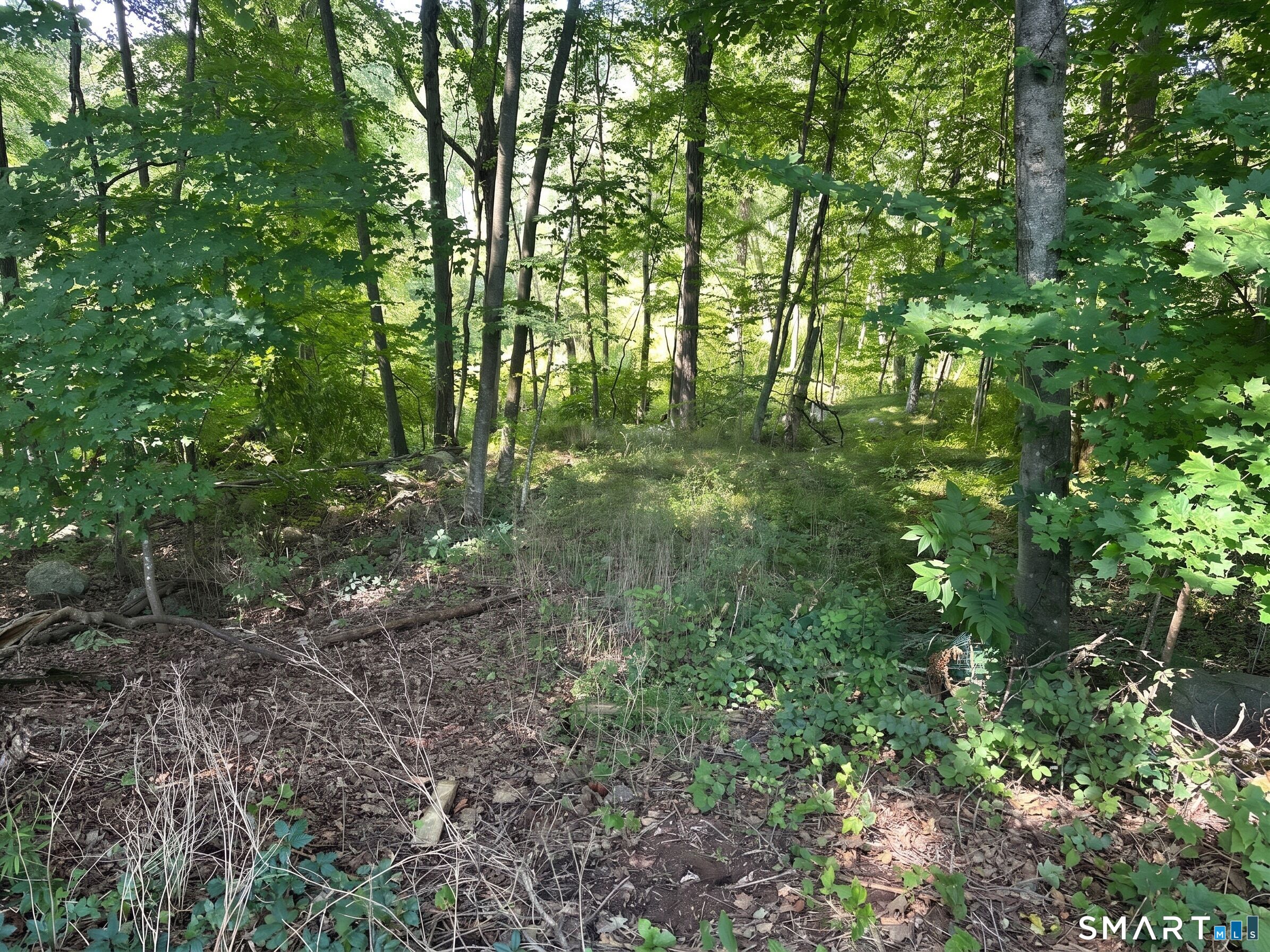 56 Hubbell Mountain Road Sherman CT 06784