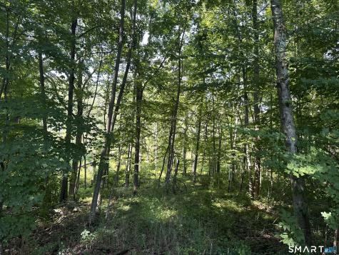 56 Hubbell Mountain Road Sherman CT 06784
