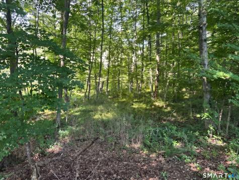 56 Hubbell Mountain Road Sherman CT 06784