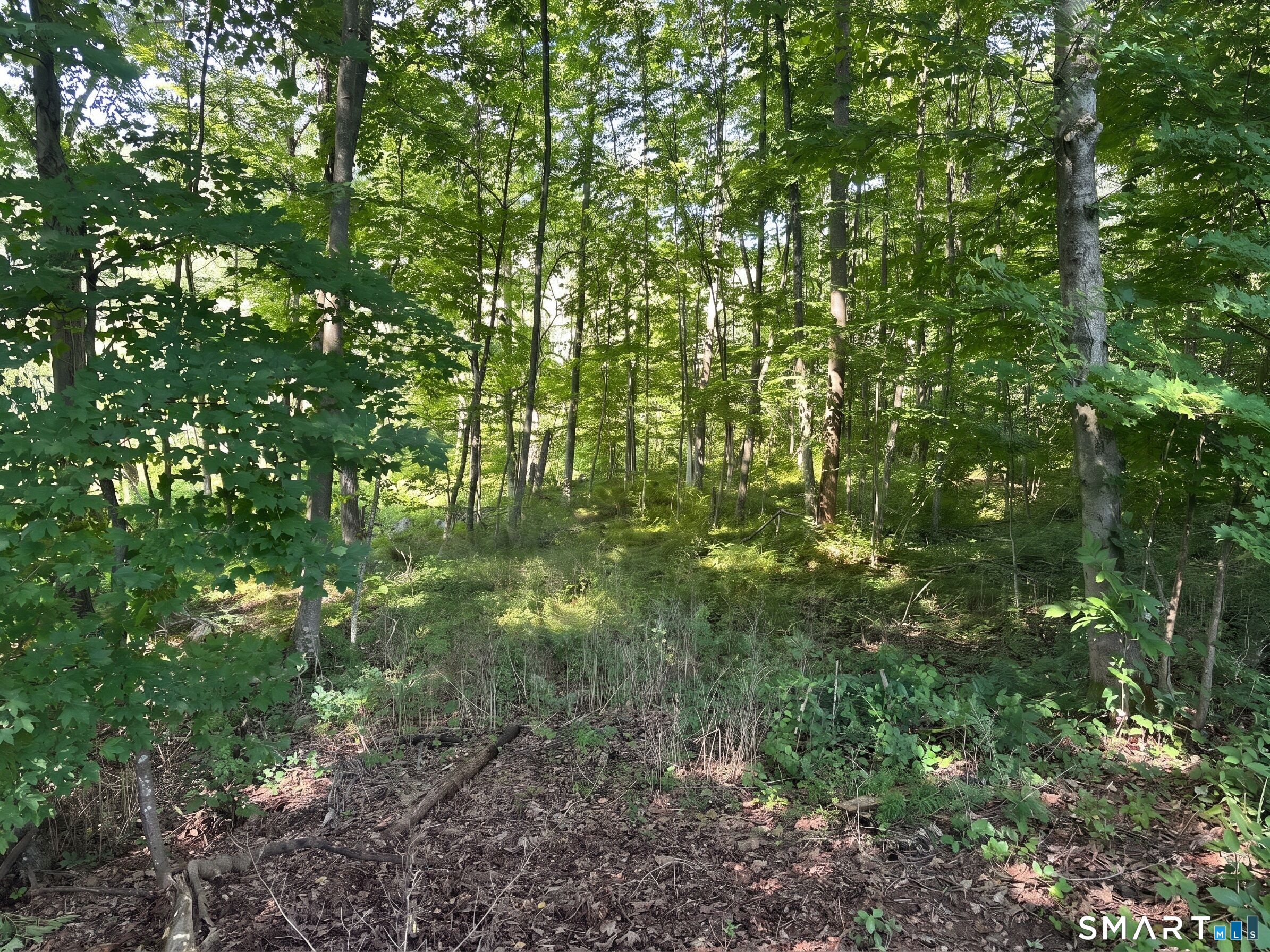 56 Hubbell Mountain Road Sherman CT 06784