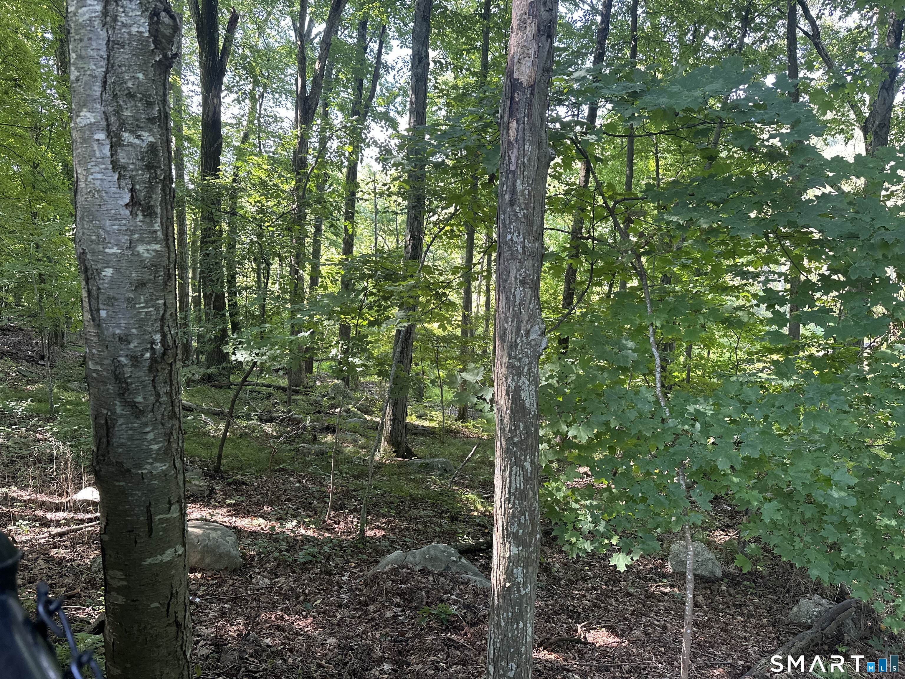 56 Hubbell Mountain Road Sherman CT 06784