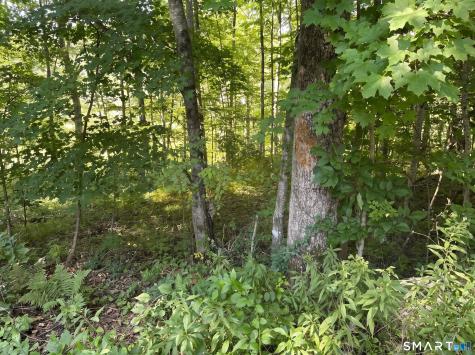 56 Hubbell Mountain Road Sherman CT 06784