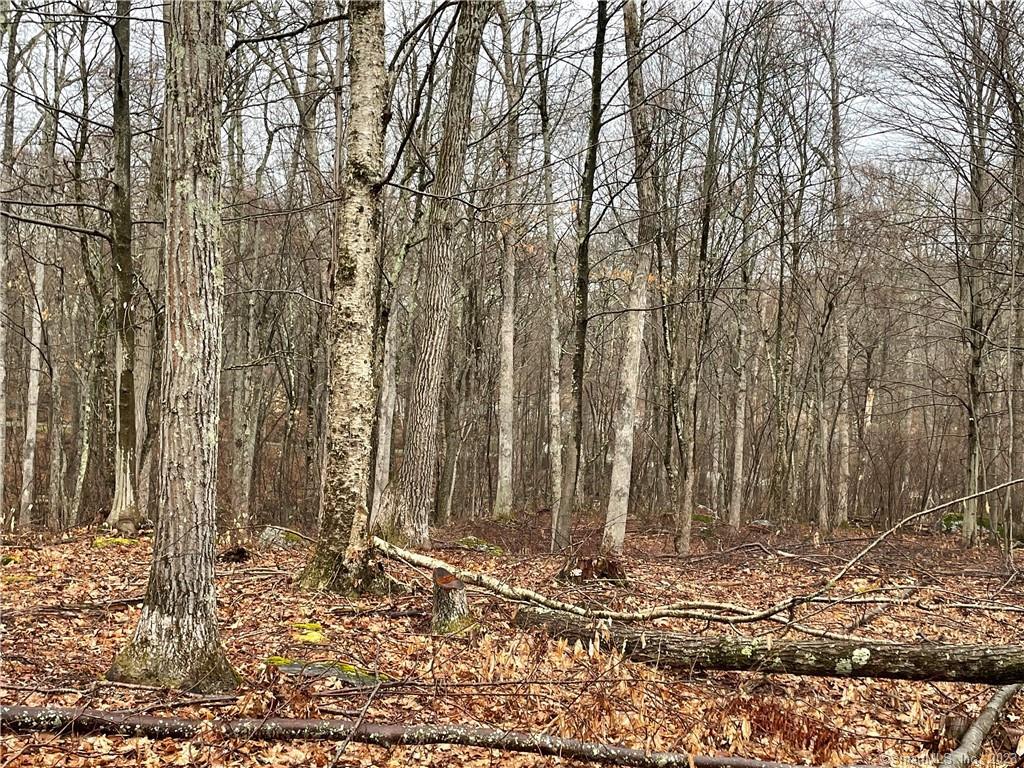 Westwoods Road Sharon CT 06069